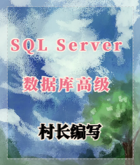 SQL Server数据库高级